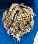 1998 Vintage Philip Treacy Bespoke Pheasant Feather Fascinator