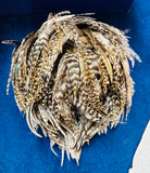 1998 Vintage Philip Treacy Bespoke Pheasant Feather Fascinator