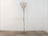 Tall Metal Decorative Display Tree