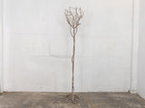 Tall Metal Decorative Display Tree