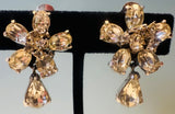 Pair of 1950s Christian Dior Crystal Earrings by Mitchel Maer