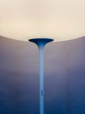 1970s Guzzini Style Floor Lamp