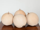 Large Decorative Hollow Smooth Wooden Seed Pods