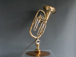 Euphonium Brass Lamp