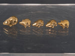 Vintage Miniature Five Brass Pigs